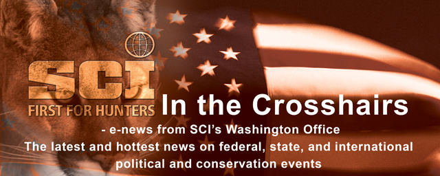 In The Crosshairs Newsletter
