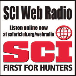 Web Radio Logo